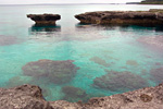 New Caledonia: Coral Reef Off Lifou Island